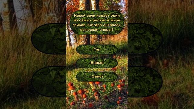 Короткая викторина по теме "Грибы" №4 #викторина #угадай #угадайпофото #эрудиция #грибы #квиз смотреть онлайн
