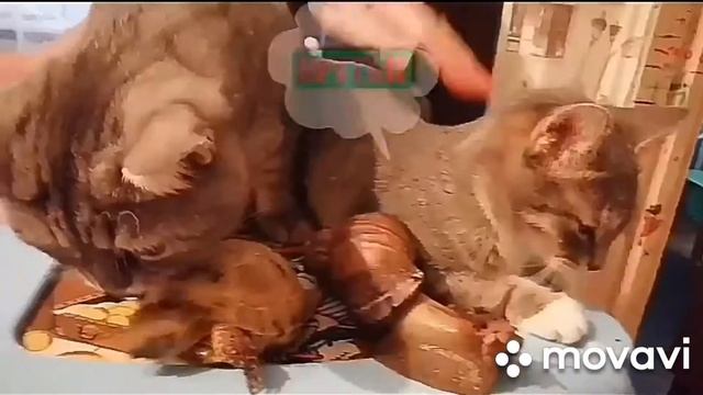 ЗАСТАВКА смотреть онлайн