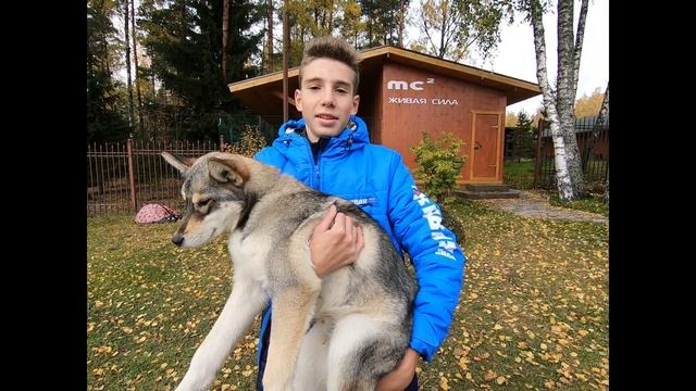 История двух Друзей. НАЧАЛО!!!