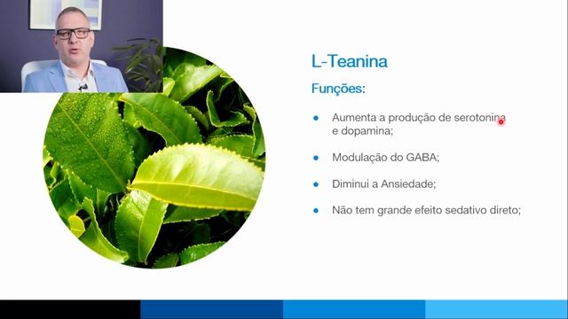 Quais são os benefícios da L- Teanina para o nosso cérebro? смотреть онлайн