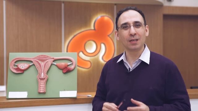 Embriyo Transferi Nasıl Yapılır? - Op. Dr. Emre Karatekelioğlu смотреть онлайн