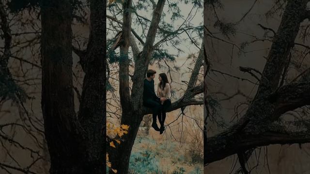 Идеи для фото в стиле «Сумерки» смотреть онлайн