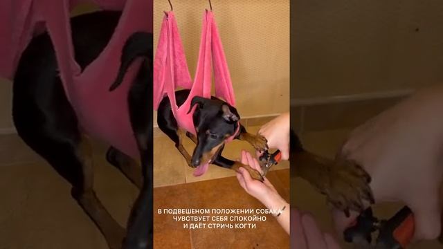 розовый смотреть онлайн