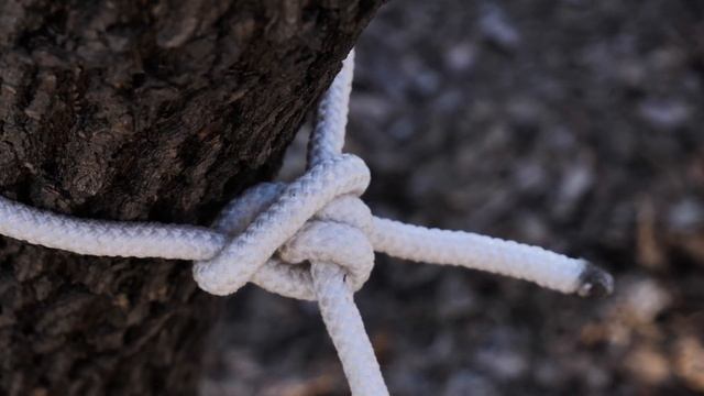 Discover the Secret to the Perfect Knot: Bowline, the Unbeatable #knots #rope смотреть онлайн
