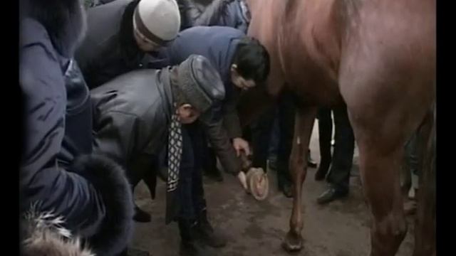 КОНЕВОДЫ смотреть онлайн