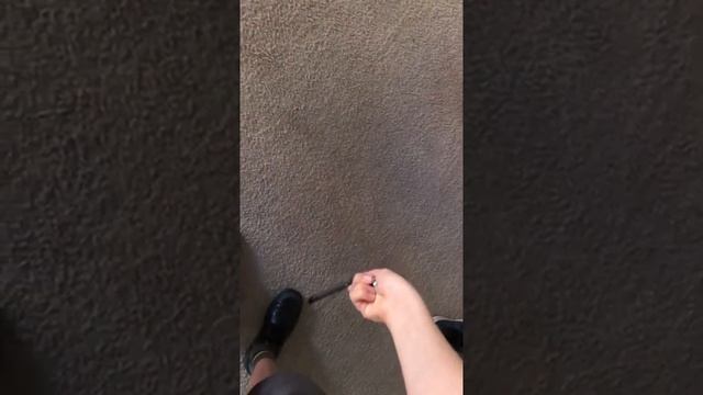 yoru's butterfly comb tricks смотреть онлайн