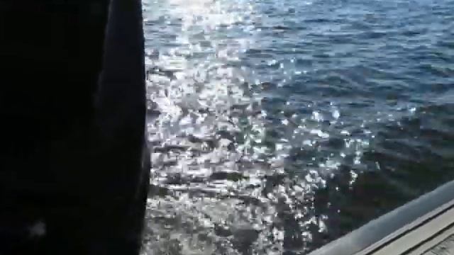 Still looking for Andre Faust and The SeeSight Tours in Saint John!!!! смотреть онлайн