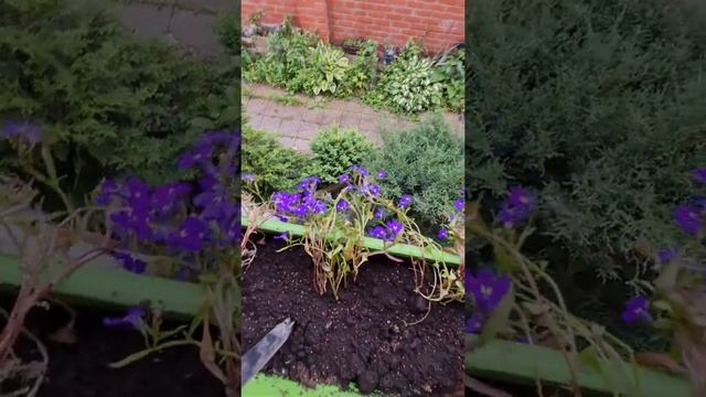 СКЛАДНАЯ САДОВАЯ СКАМЕЙКА, ВТОРОЙ РАЗ НЕ КУПИЛА БЫ. смотреть онлайн