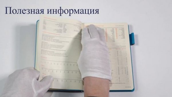 Видеообзор ежедневника Bruno Visconti Boston