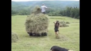 Песня Сенокос  Шаврина Екатерина