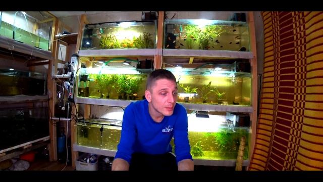 ЗАРЯДИСЬ ЭНЕРГИЕЙ АКВАРИУМИСТА!!! смотреть онлайн