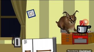 шлёпа ест пельмени