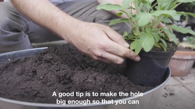Jack's Guide to Growing In Small Spaces | Hubbub Campaigns смотреть онлайн