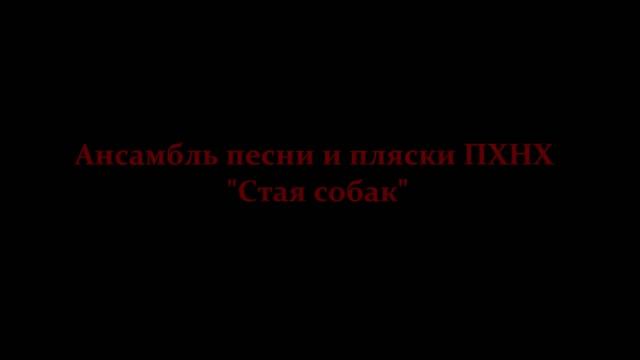 Ансамбль песни и пляски ПХНХ - Стая собак смотреть онлайн