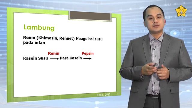 E-Learning (Biokimia Pencernaan) - Bagian 2 смотреть онлайн