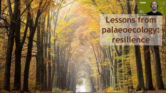 Palaeoecology – plants and the past смотреть онлайн