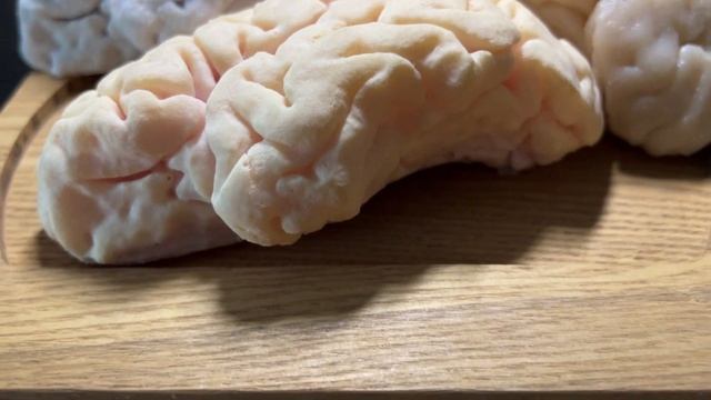 Анатомическая модель мозга из силикона смотреть онлайн