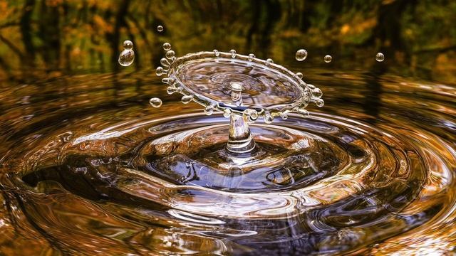 Смысл жизни_Виктор Франкл_5 смотреть онлайн