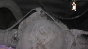 УАЗ ПАТРИОТ все о мостах