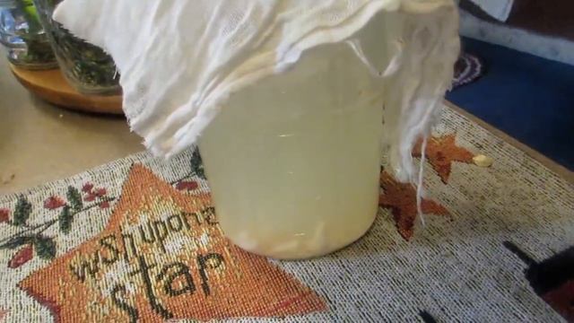 HOW TO MAKE WATER KEFIR AND AWESOME RECIPE HOW TO USE смотреть онлайн