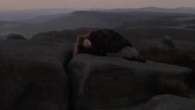 Wuthering Heights And Jane Eyre:  