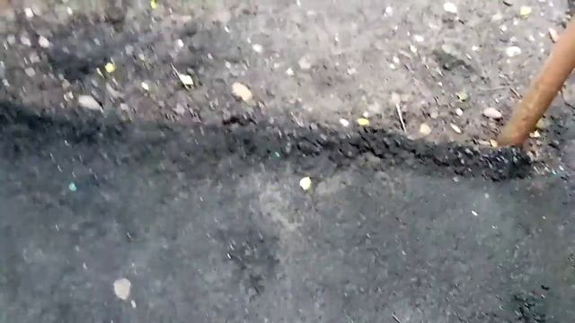 история котят. часть 3 смотреть онлайн