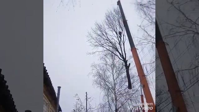Клинцы удаление дерева с применением автокрана смотреть онлайн