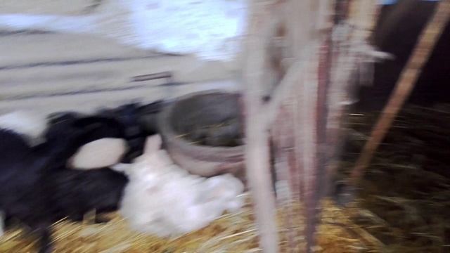 Всяко-разно..