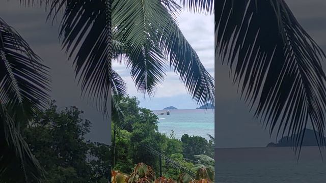 Залив Anse a la Mouche Сейшелы.Октябрь 2024 смотреть онлайн