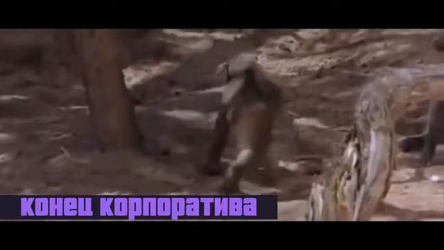 Песня водка пиво водка пиво под конец корпоратива смотреть онлайн