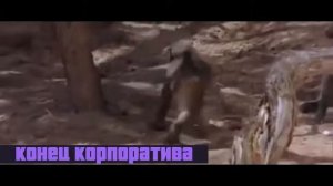 Песня водка пиво водка пиво под конец корпоратива