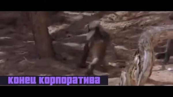 Песня водка пиво водка пиво под конец корпоратива