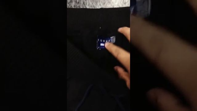 bermuda tommy hilfiger A1 смотреть онлайн