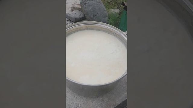 Домашний вкусный курт смотреть онлайн