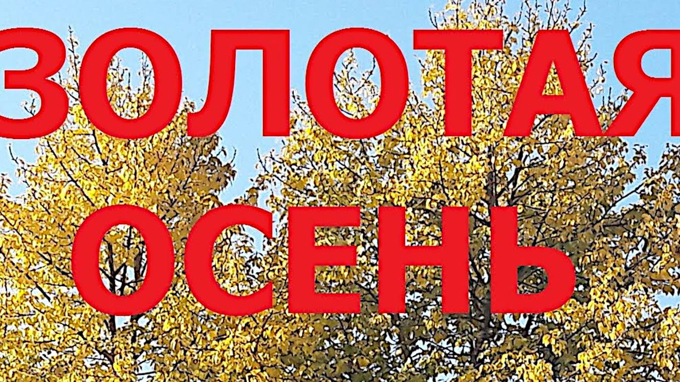 Осень золотая пора наступила #potemkin3 Потемкин