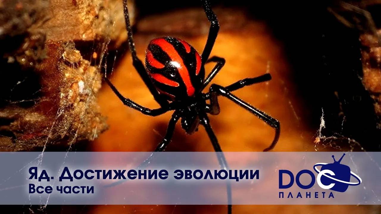 Яд. Достижение эволюции - Все части - Документальный фильм смотреть онлайн