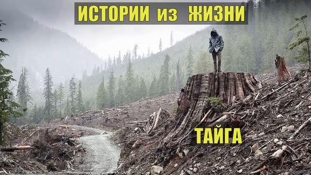 0048 СТРАШНЫЕ ИСТОРИИ из ЖИЗНИ ДОМОВОЙ ЛЕСНИК ОТШЕЛЬНИК СУДЬБА 40 ЛЕТ в ТАЙГЕ ЖИЗНЬ в ЛЕСУ ОХОТА РЫБ смотреть онлайн