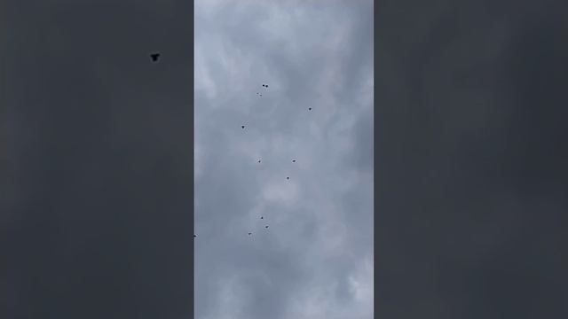 северный 10 м сек смотреть онлайн