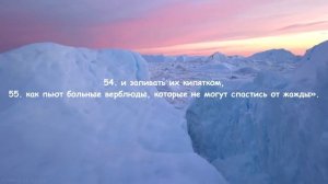 Ислам Субхи I Событие(1080P_HD)