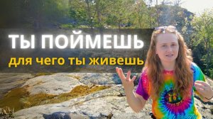 ПРОБУДИСЬ и получишь ВСЁ, что хочешь  #пробуждение #просветление