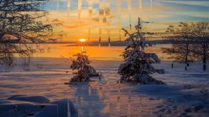 Зимний пейзаж. Новогодний футаж. Зимний футаж. Красивый футаж для видео. Фоновый футаж. Видеофон.