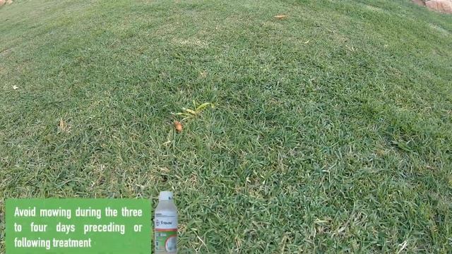 Tribute Herbicide Results Fix a Terrible Lawn Part 10 смотреть онлайн