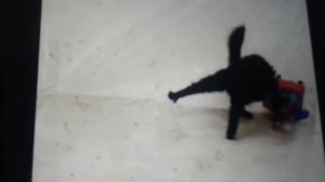 Фелисетт в невесомосити