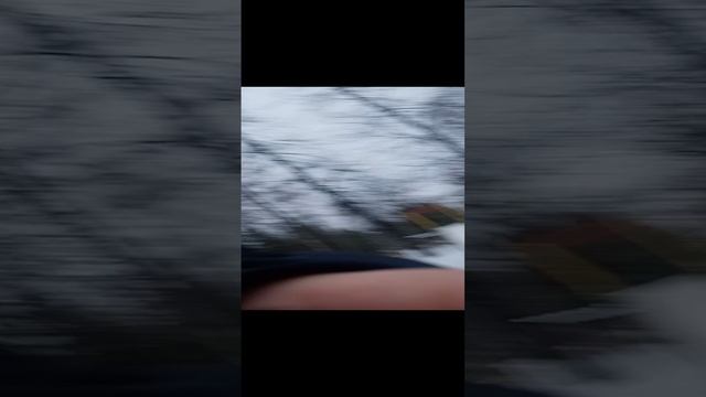 VID_20241226_134526.mp4