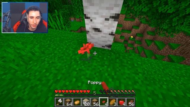 Minecraft but you can craft MEGA tools from any block... смотреть онлайн