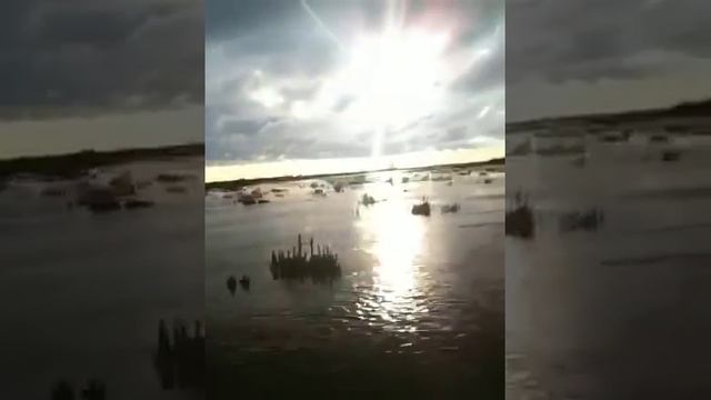 Охота на чирка, сарысу, азербайджан смотреть онлайн