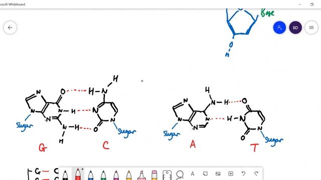 1.5 DNA смотреть онлайн