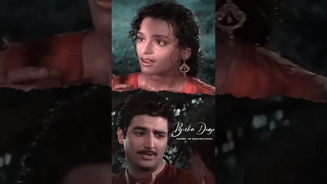 Ishq Mein Jaan Gawa Denge ❤️ 4K Ultra Status 🌹 Lyrics Status 🌺 Full Screen Status 🥀 Paap Ki Kamaee,