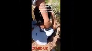 Запал омлар