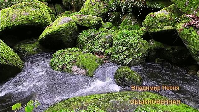 Владимир Песня - Обыкновенная смотреть онлайн